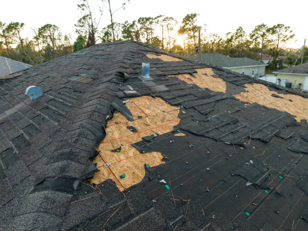 Best Roof Moss and Algae Removal  in North Eastham, MA